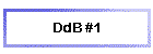 DdB #1