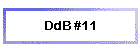 DdB #11