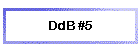 DdB #5