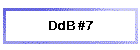 DdB #7